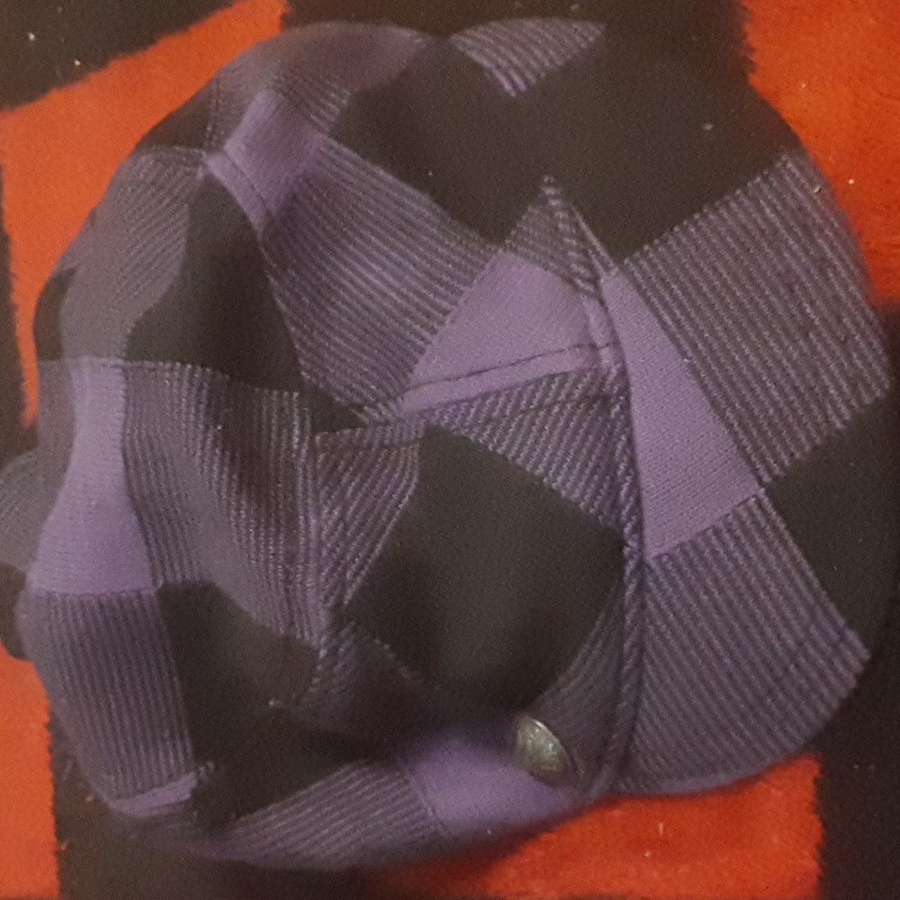 NWT Fox hat